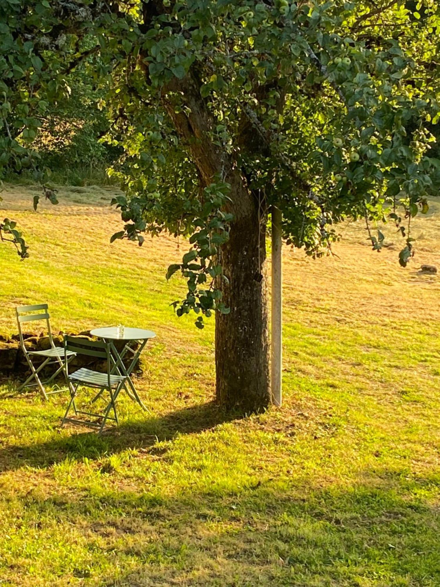 Une Pause En Correze Sarroux Exteriör bild